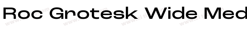 Roc Grotesk Wide Med字体转换